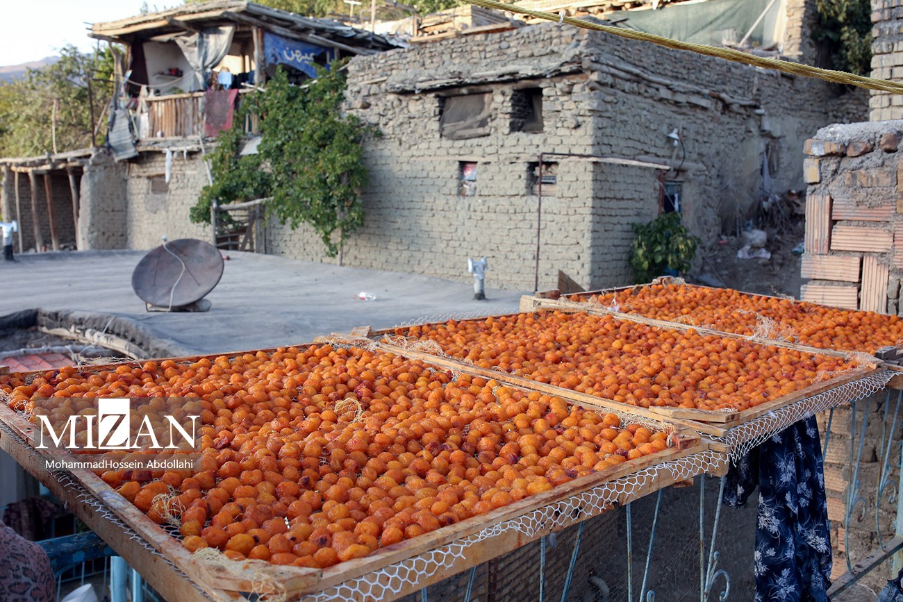 خُرو؛ پایتخت آلوی ایران