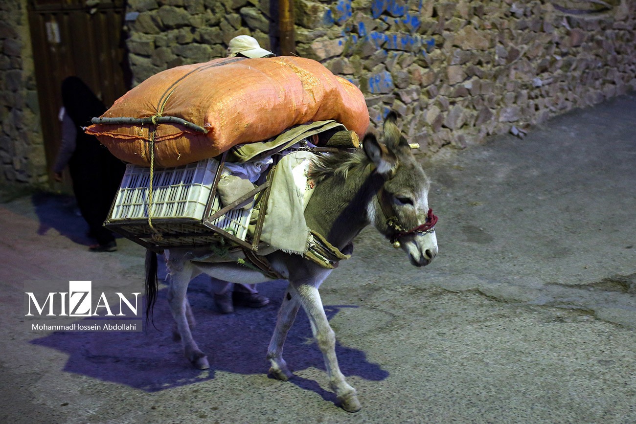 خُرو؛ پایتخت آلوی ایران