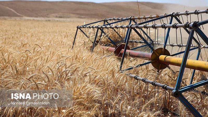 رئیس کانون خبرگان کشاورزی زنجان: کشاورزی سنتی پاسخگوی نیازهای جامعه نیست