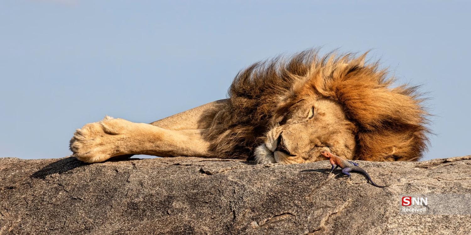 عکس/ برندگان مسابقه عکاسی پانوراما اپسون ۲۰۲۵