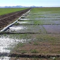 ۹۰۰ هکتار از اراضی خراسان جنوبی زیر پوشش سامانههای نوین آبیاری قرار گرفت