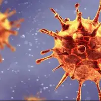 سازمان جهانی بهداشت: گونه جدید کرونا با «گلودرد تیغی» در حال گسترش است