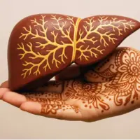 یکی از ترکیبات موجود در حنا میتواند آسیبهای کبدی را معکوس کند