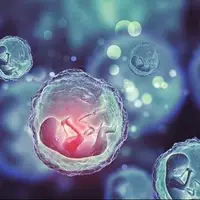 بررسی علمی و اخلاقی یک درمان جدید برای ناباروری