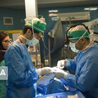 نفس تازه در ریههای سلامت خراسانشمالی با آغاز به کار ۵۴ پزشک