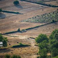 ۹۶۹ هکتار از اراضی بایر دولتی بجنورد تعیین تکلیف شد