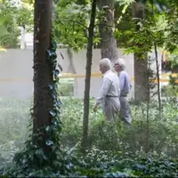 اشتغال بازنشستگان در تاکسیهای اینترنتی قانونی میشود