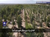 بزرگترین جنگل شهری غرب آسیا در شمال استان اصفهان افتتاح شد
