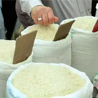 قیمت برنج در بازارهای مشهد