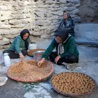 چه کسانی میتوانند در صندوق بیمه اجتماعی روستاییان خود را بیمه کنند؟