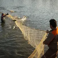 پرورش ماهی در آزادشهر گلستان 