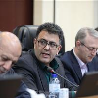 نماینده مجلس: حمایت دولت از بیمه قالیبافان امری ضروری است