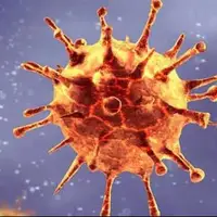 گونه جدید کرونا با «گلودرد تیغی» در حال گسترش است