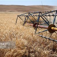 رئیس کانون خبرگان کشاورزی زنجان: کشاورزی سنتی پاسخگوی نیازهای جامعه نیست