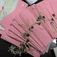 ثبت اسناد: تبدیل سند دفترچهای به سند تکبرگ هیچ مالیاتی ندارد