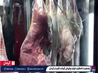 وضعیت نامطلوب تولید و گرانی گوشت قرمز در کرمان