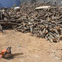 ۴ تن چوب بلوط قاچاق در باغشهرهای ظفرآباد شیراز کشف شد