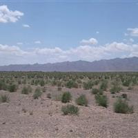 برنامه جامع پدافند غیرعامل؛ کلید تابآوری منابع طبیعی خراسان جنوبی