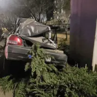برخورد خودرو با درخت در مشهد یک مصدوم بر جای گذاشت