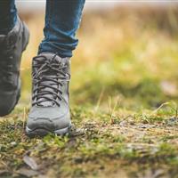 ۳ هزار قدم پیادهروی روزانه، پیشرفت آلزایمر را به تأخیر میاندازد