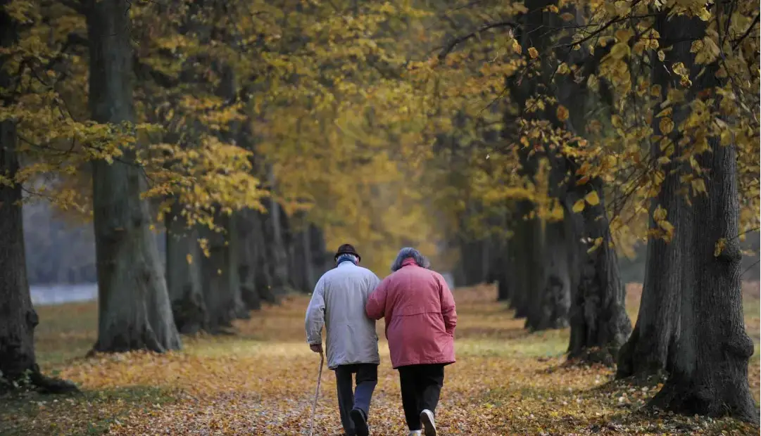 جادوی ۳ هزار قدم: پیادهروی روزانه جلوی پیشرفت آلزایمر را میگیرد