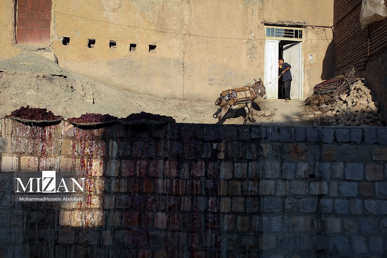 خُرو؛ پایتخت آلوی ایران