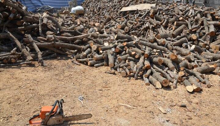 ۴ تن چوب بلوط قاچاق در باغشهرهای ظفرآباد شیراز کشف شد