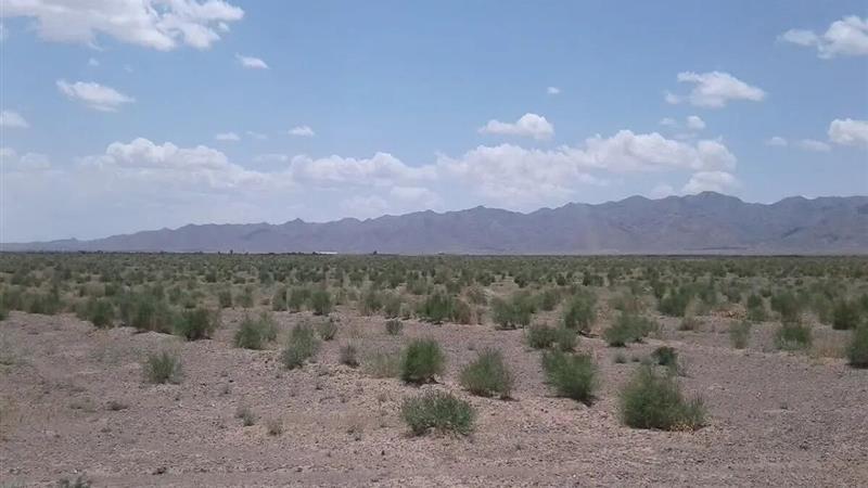 برنامه جامع پدافند غیرعامل؛ کلید تابآوری منابع طبیعی خراسان جنوبی