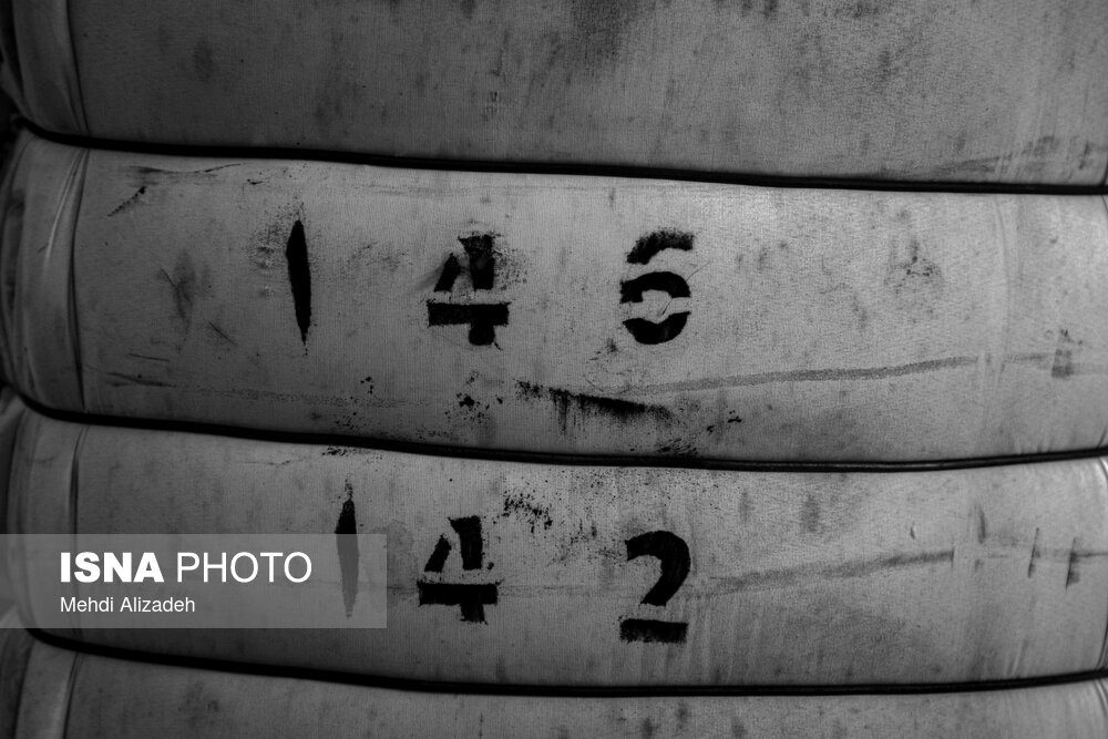 برداشت پنبه در خراسان شمالی