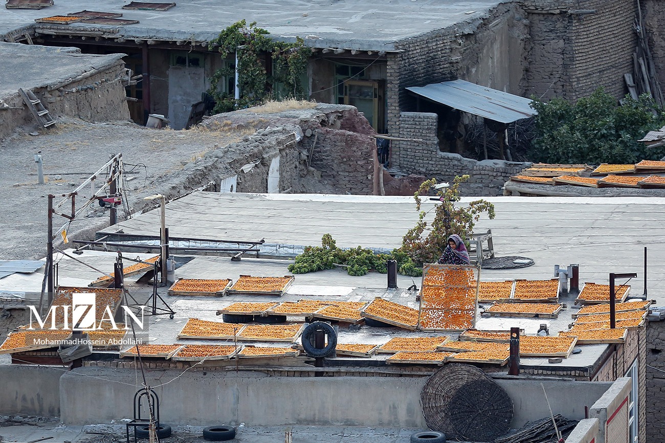 خُرو؛ پایتخت آلوی ایران