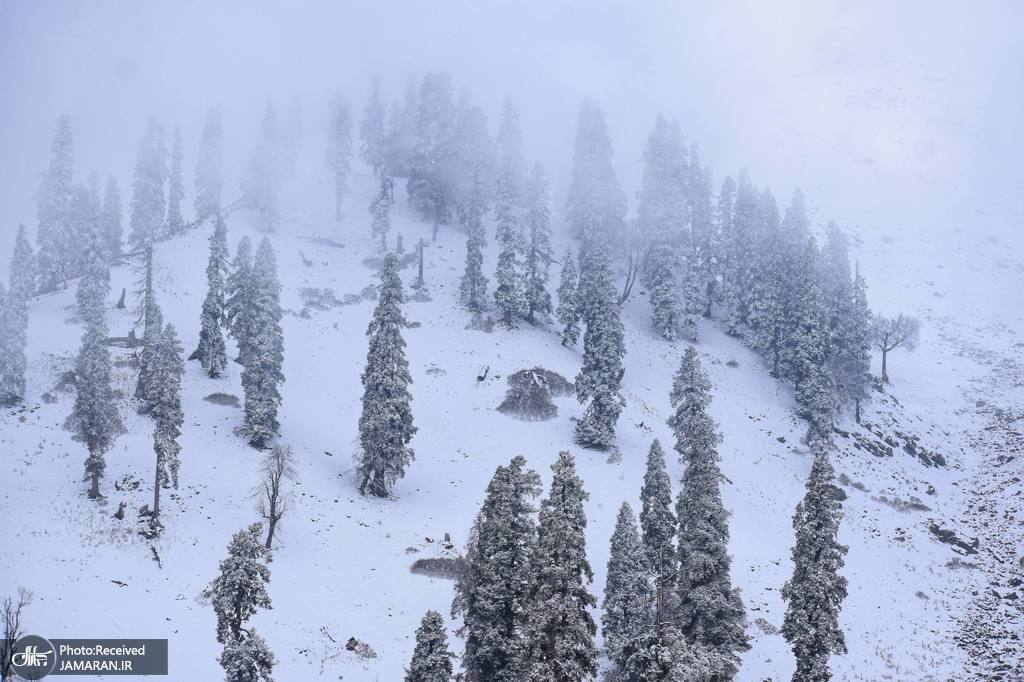 بارش برف تازه در کشمیر هند