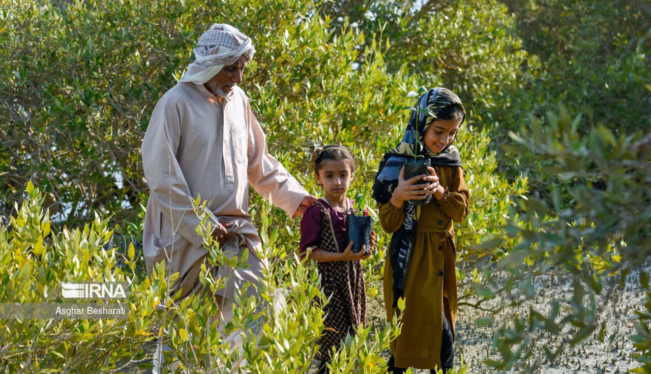 کاشت پنج هزار نهال حَرّا در روستای جهانی سهیلی جزیره قشم 