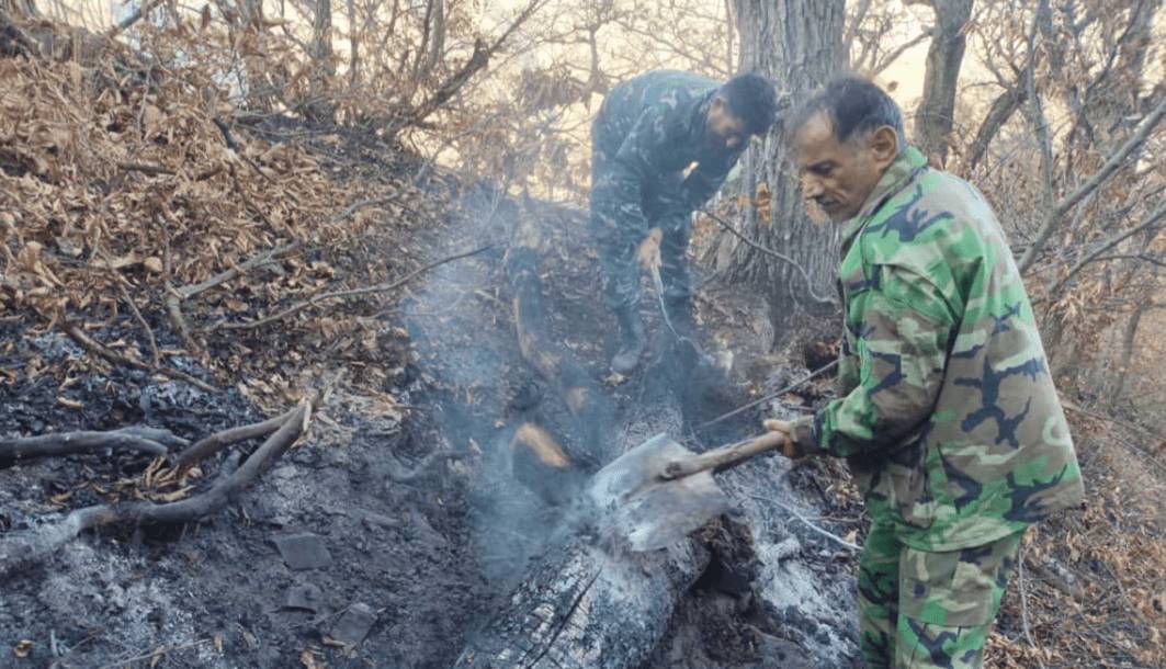 شعلهورشدن مجدد آتش در جنگلهای چالوس