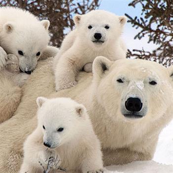 دیدنی-خواندنی