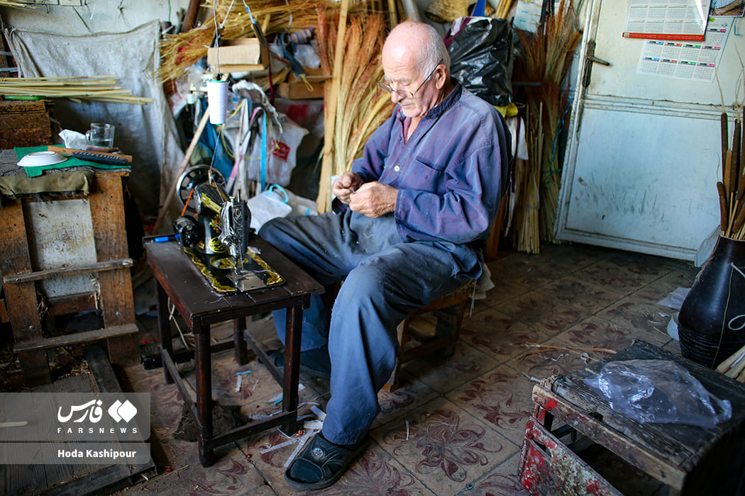 عکس/بابل شهر جاروبافی