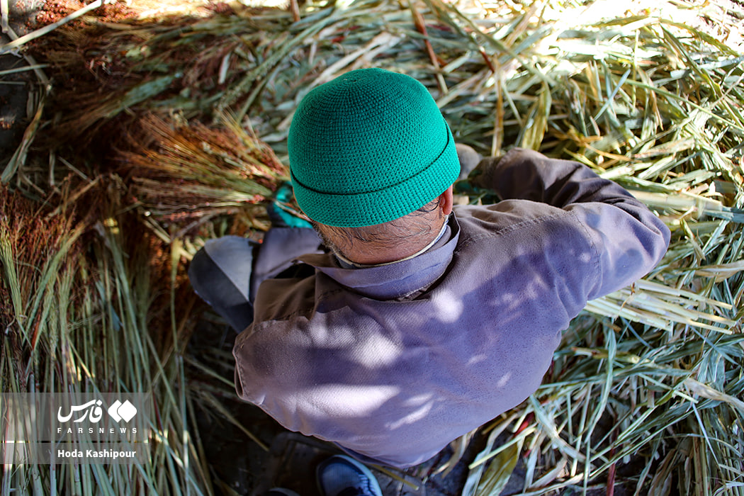 عکس/بابل شهر جاروبافی