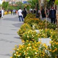 مسائل اطراف حرم مطهر نیازمند ساختار ویژه و تصمیمگیری مستقل است