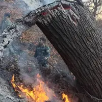 آتش دوباره به جانِ جنگل چالوس افتاد
