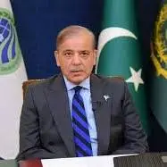 تاکید شهباز شریف بر نقش مهم ایران و پاکستان برای صلح جهانی و وحدت اسلامی