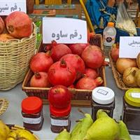 برداشت هزار و ۵۰۰ تن انار و رواج گردشگری کشاورزی در اردبیل