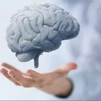 مضرترین غذاها برای مغز را بشناسید