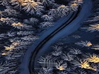 ضیافت برف و جنگل کاج؛ مازندران