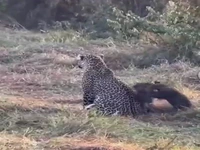 تجربه مشترک تمام مادرها