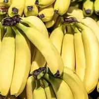 رانت واردات موز در قبال صادرات سیب!