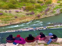 بهشتی به نام کردستان