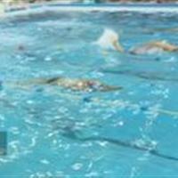 معرفی برترین شناگران بسیجی قم