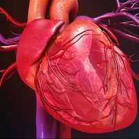 سلولهای بنیادی، ناجی احتمالی قلبهای بیمار