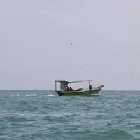 وزش باد شمالشرقی و غبار محلی در سواحل و جزایر هرمزگان