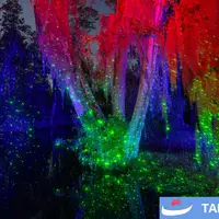 از سکوت تا شهود؛ ثبت لحظه‌های ماورایی در تالاب اوکیفنوکی