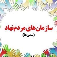 رشد ۱۱۳ درصدی سمنهای فعالِ جوان